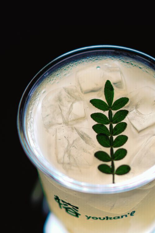Free Chilled drink with ice cubes and leafy garnish in a clear cup. Stock Photo