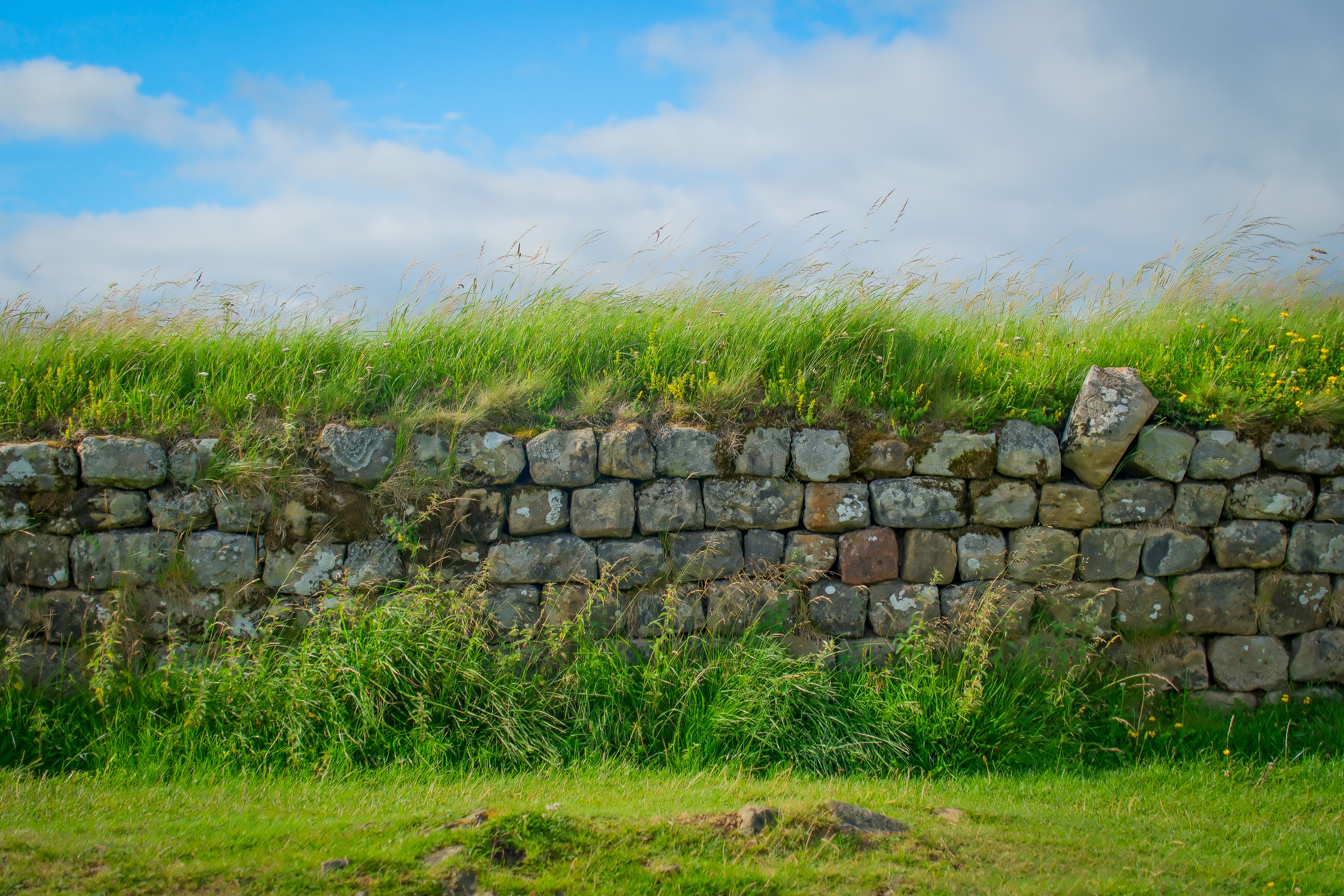 Housesteads Roman Fort