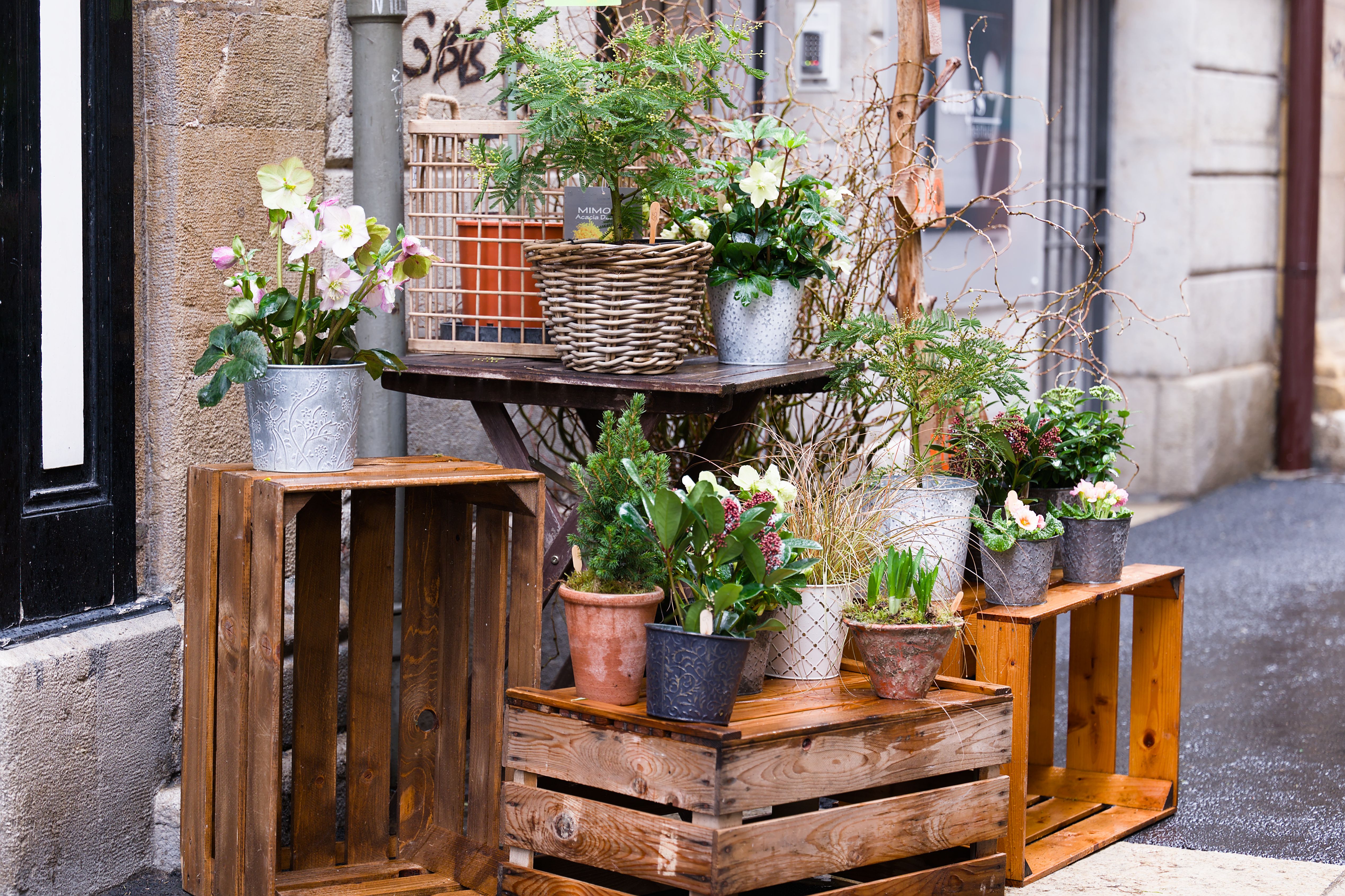 Skandi-Garten-Geheimtipp-Ideen kopieren – Terrassendielen aus Lärche 20mm