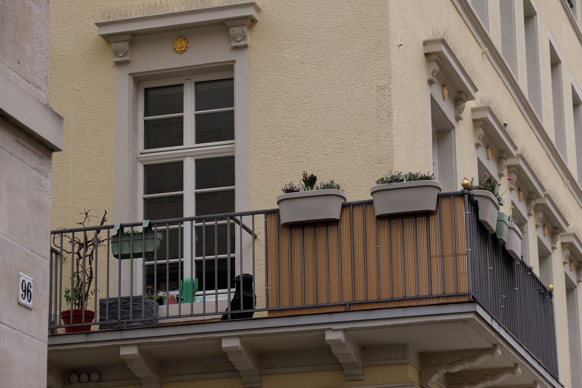 Der Heimaturlauber