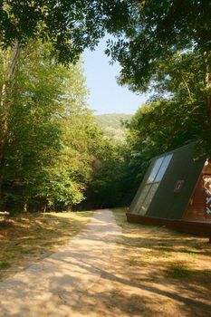 Contemporary cabin in a serene forest setting during summer.