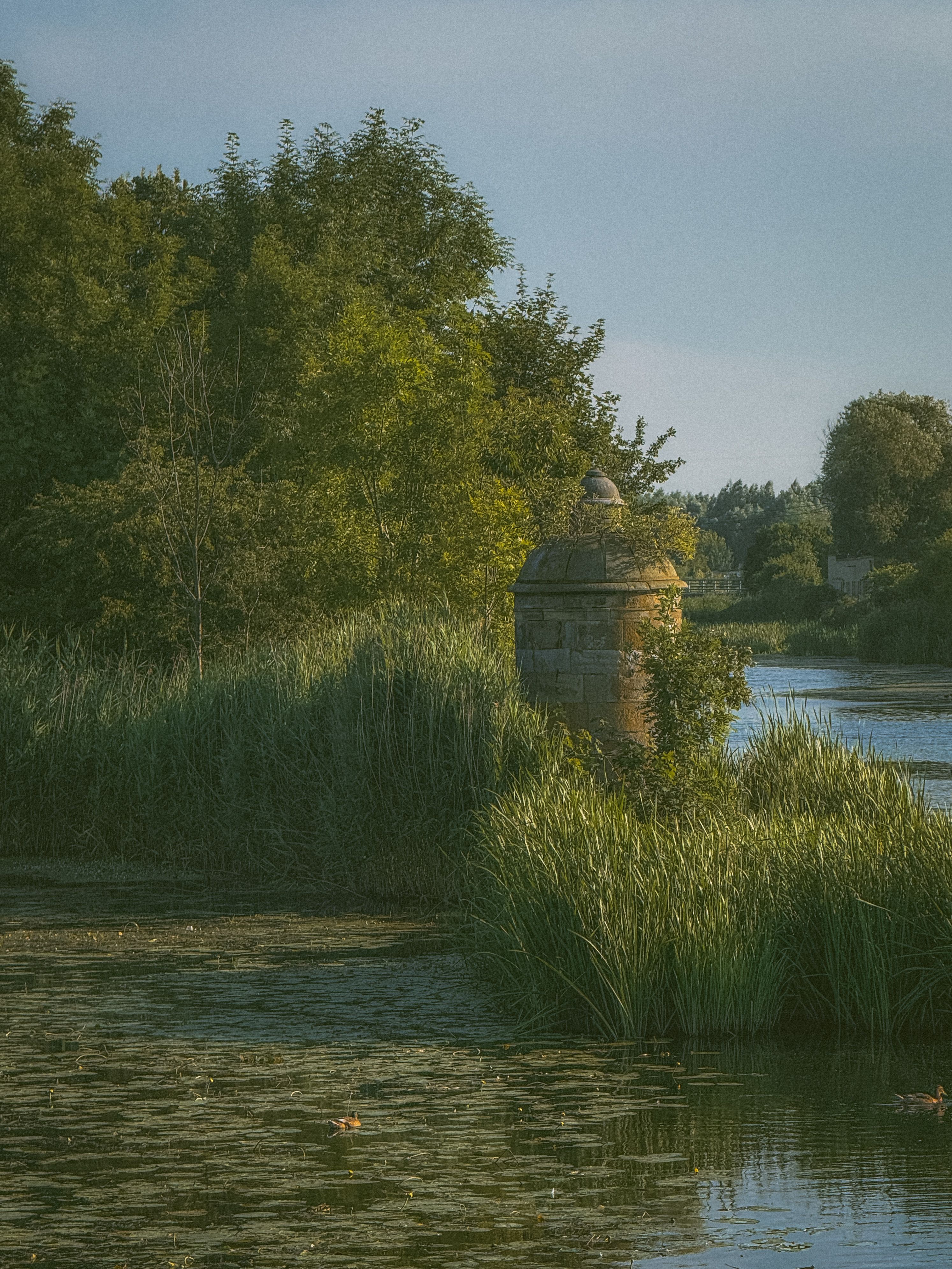 Peaceful Riverside Landscape with Lush Vegetation · Free Stock Photo