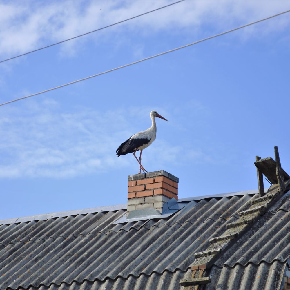 Painters and Decorators in Cheam — a decorator at work mid-project