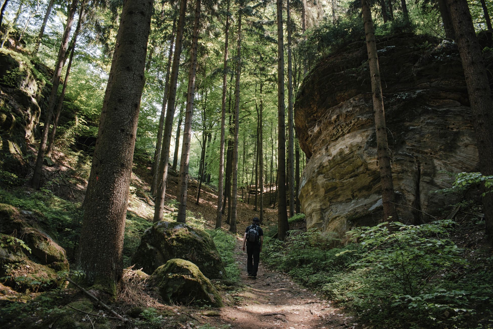 Luxemburgse wandelgebieden lijken op Alpen