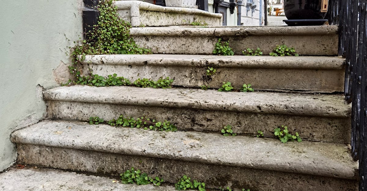 找到理想生活的溫度 中陽集團張博鈞的建築哲學