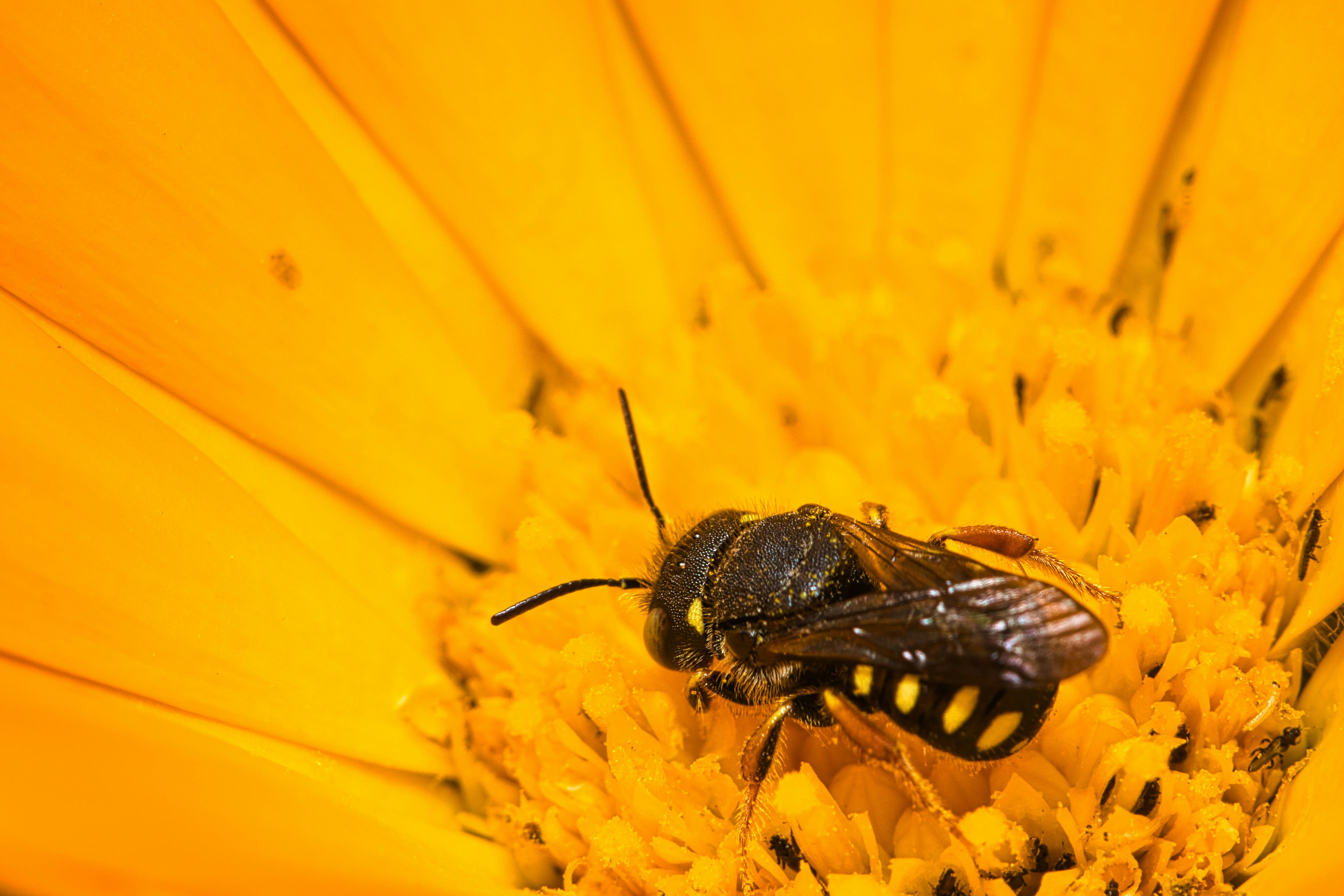 Ark Valley Civics Bee Competition to Send Three Local Students to State — Photo by Олександр К on Pexels