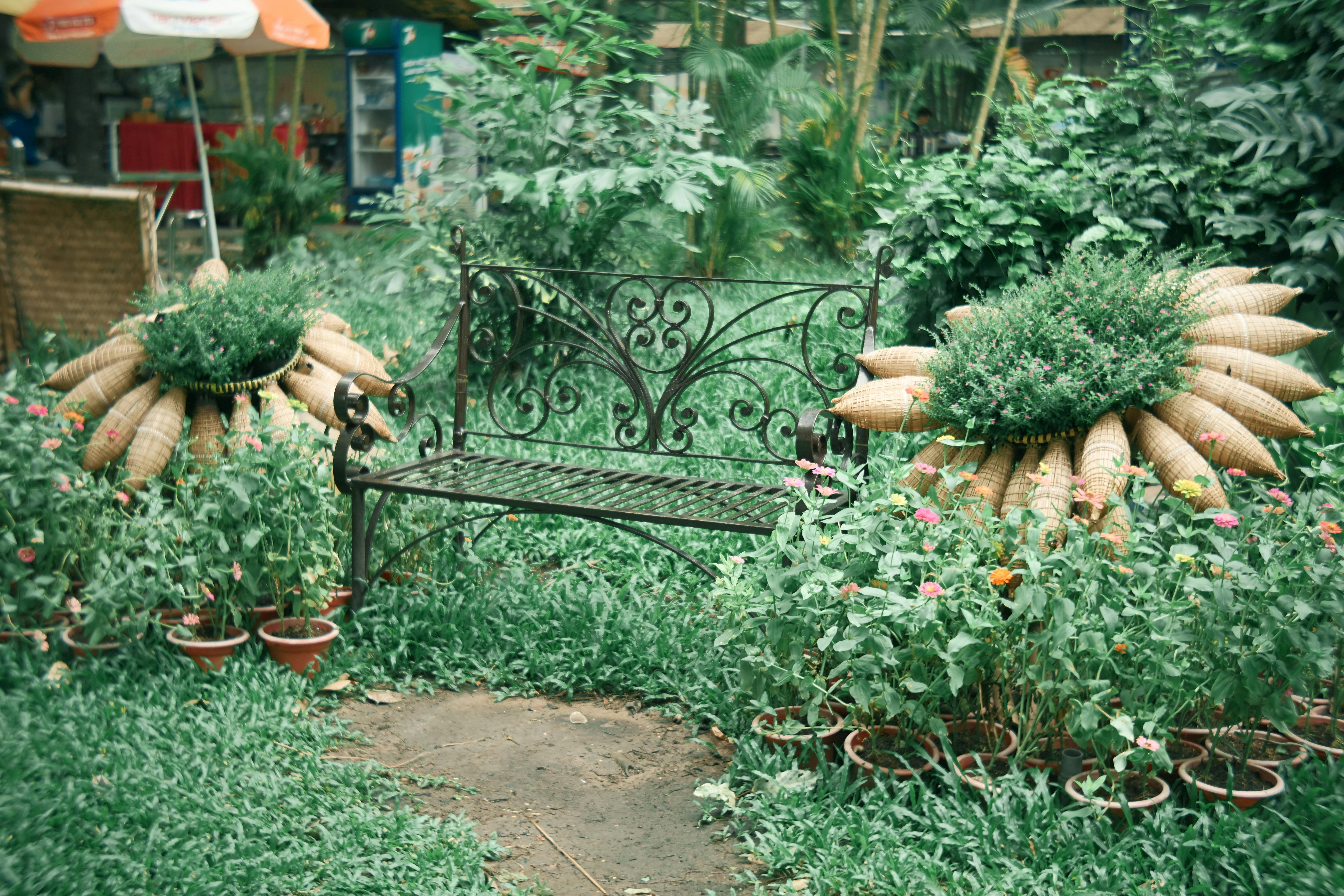 Rustic garden bench surrounded by vibrant plants and lush greenery.