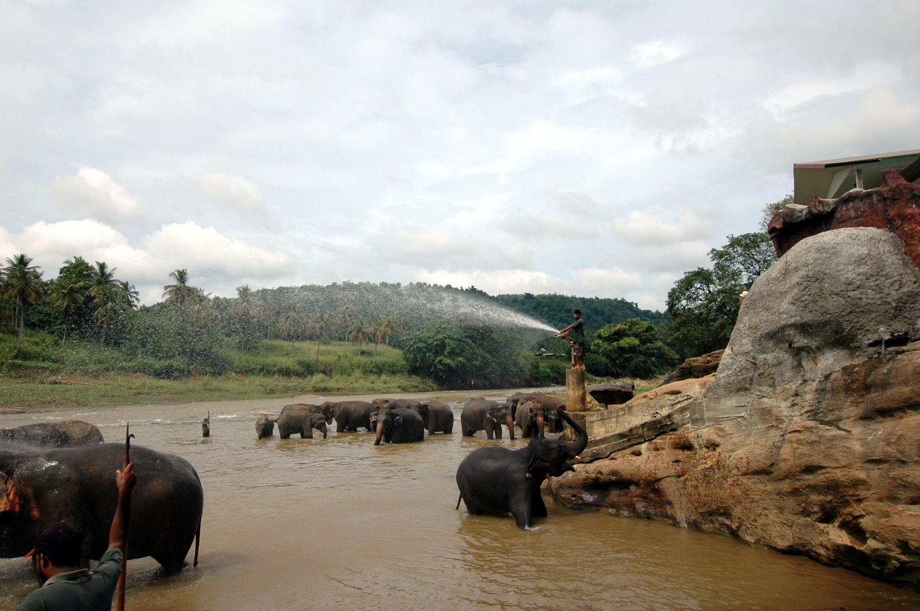 Pinnawala in 2 Days: What to See and Where to Stay