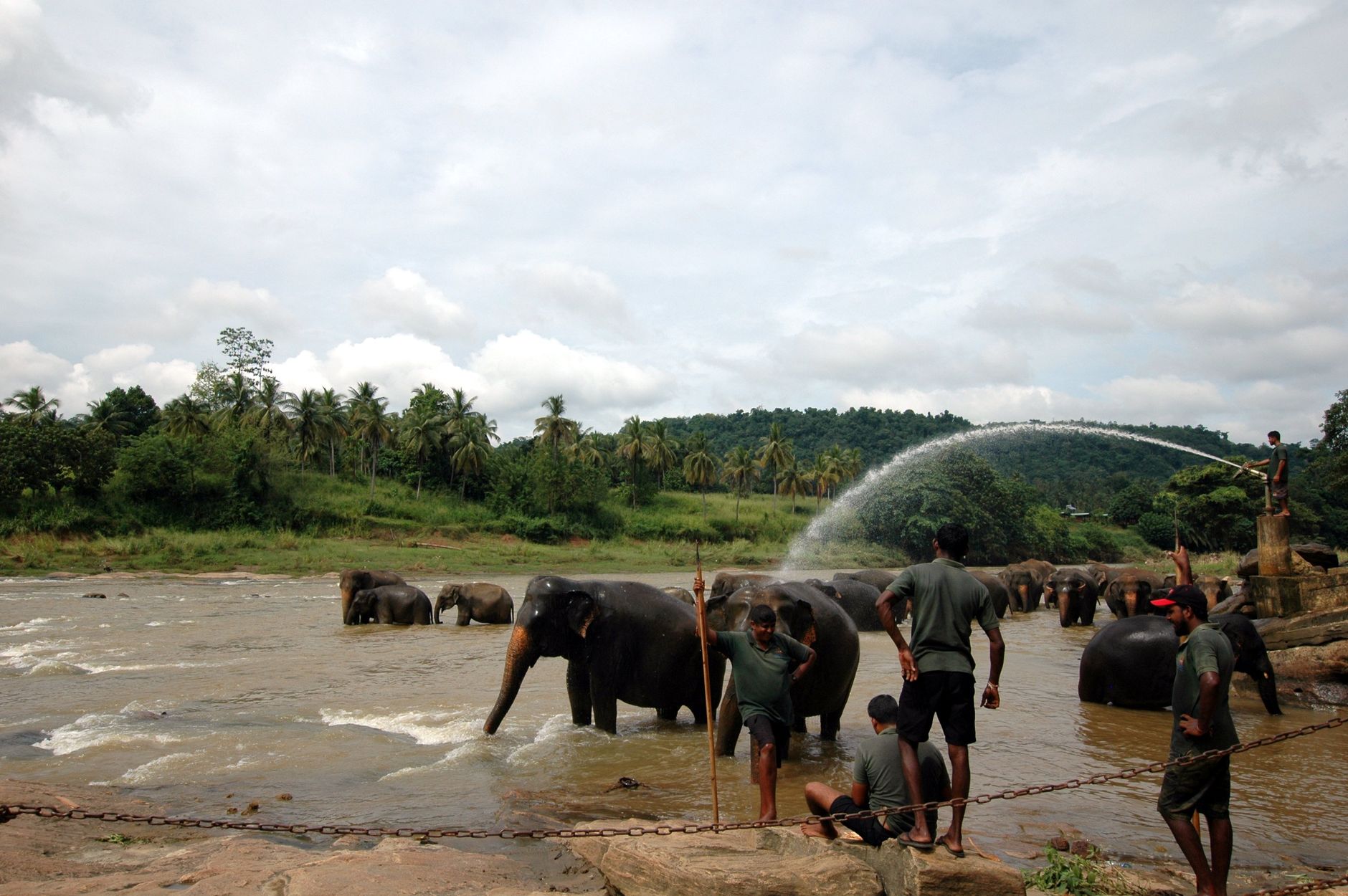 Elephant Bay Hotel: Location, Facilities & Value Guide