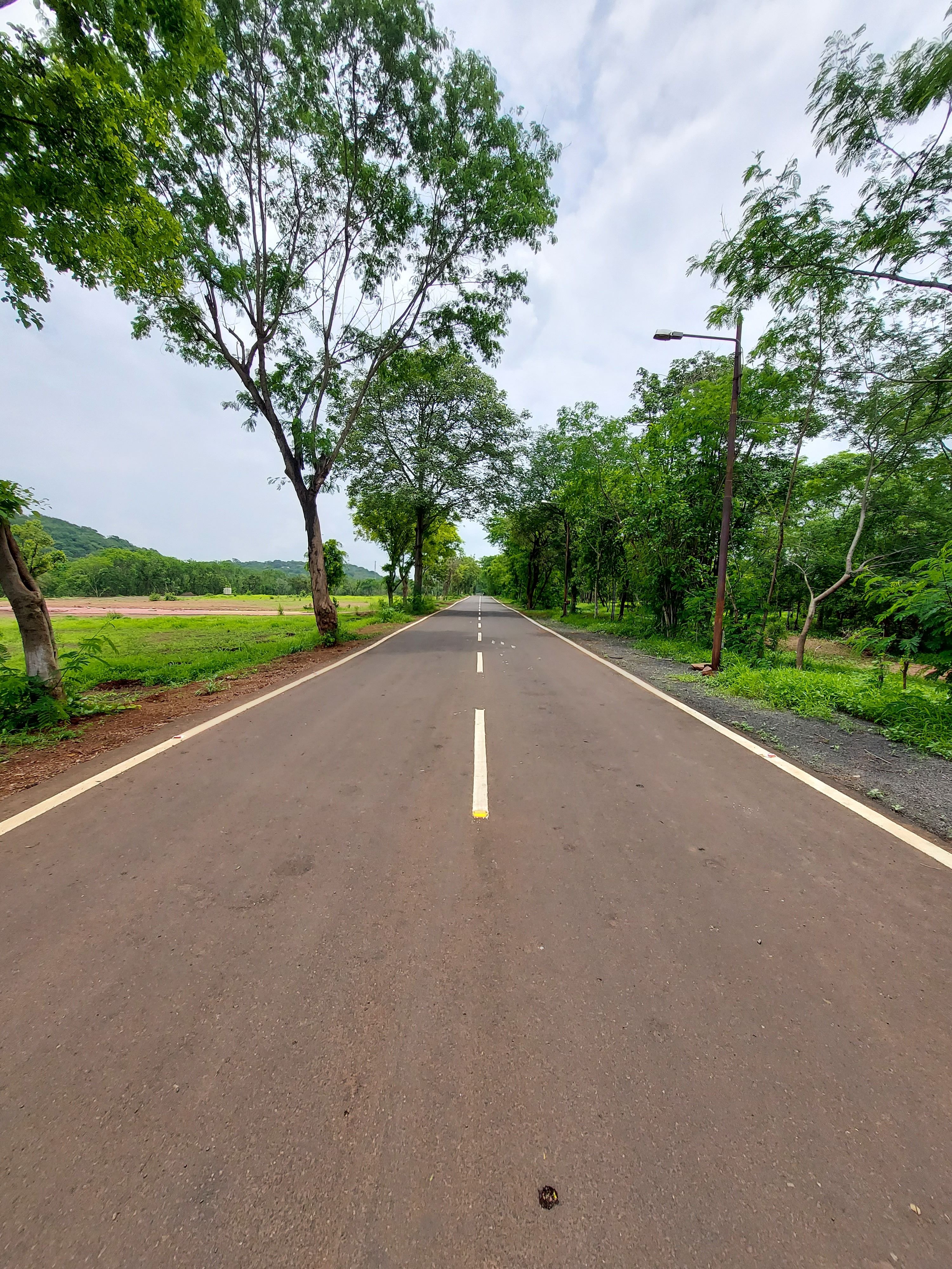 Serene Country Road in Lush Green Landscape · Free Stock Photo