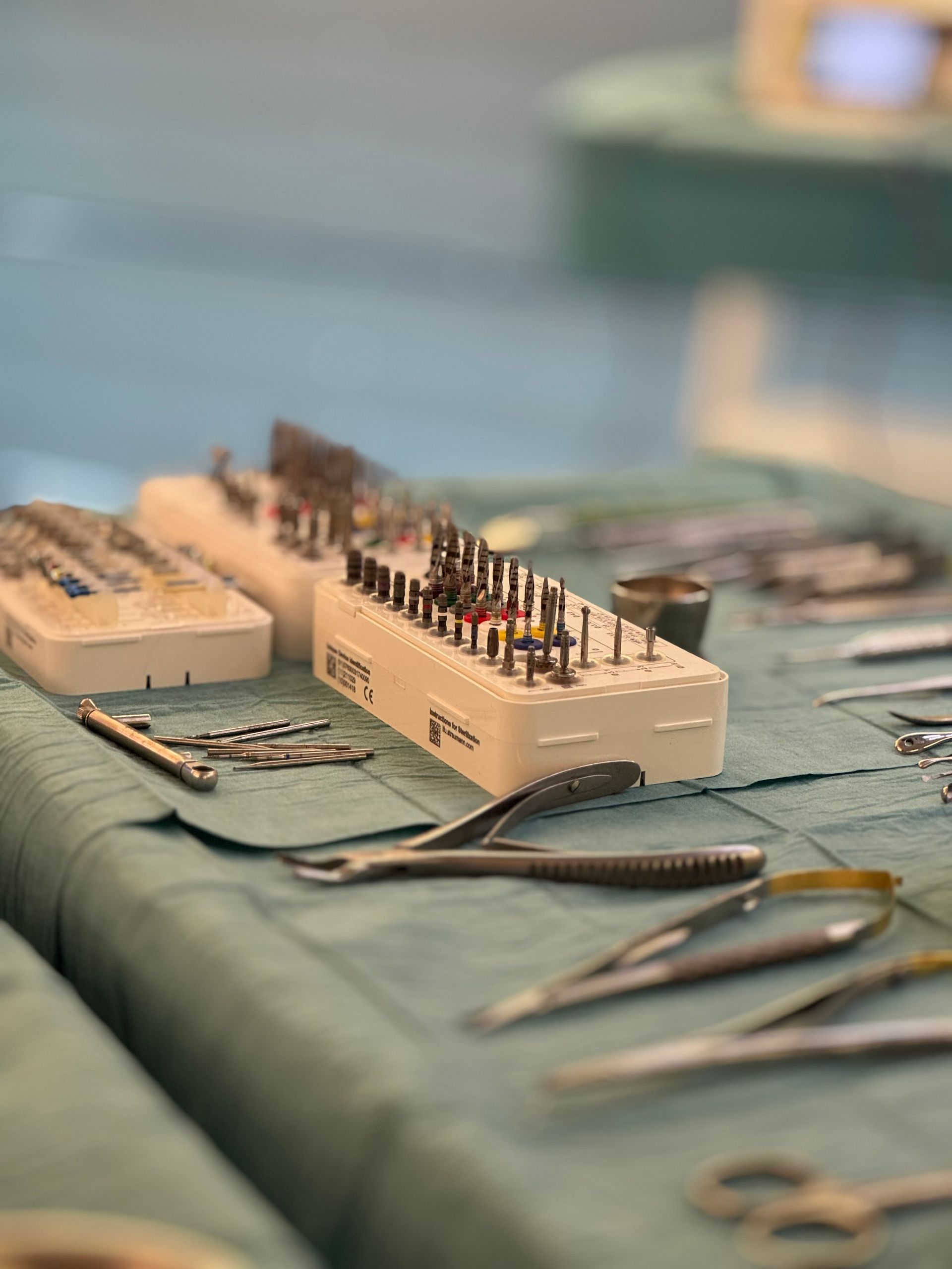 A precise arrangement of polished veterinary surgical instruments