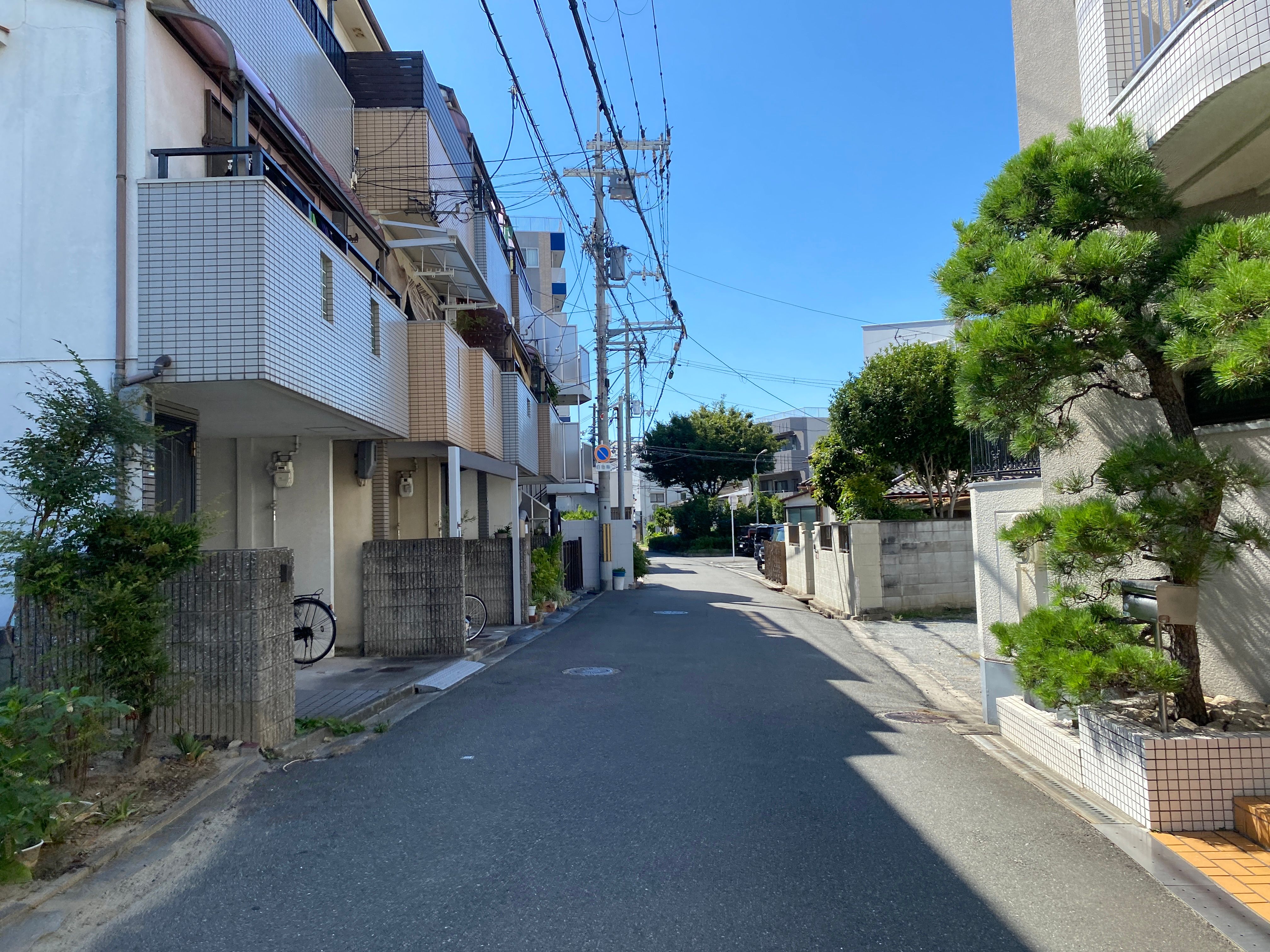 A quiet Cheongdam residential avenue in the morning with low-storey apartment blocks and tree-lined pavement
