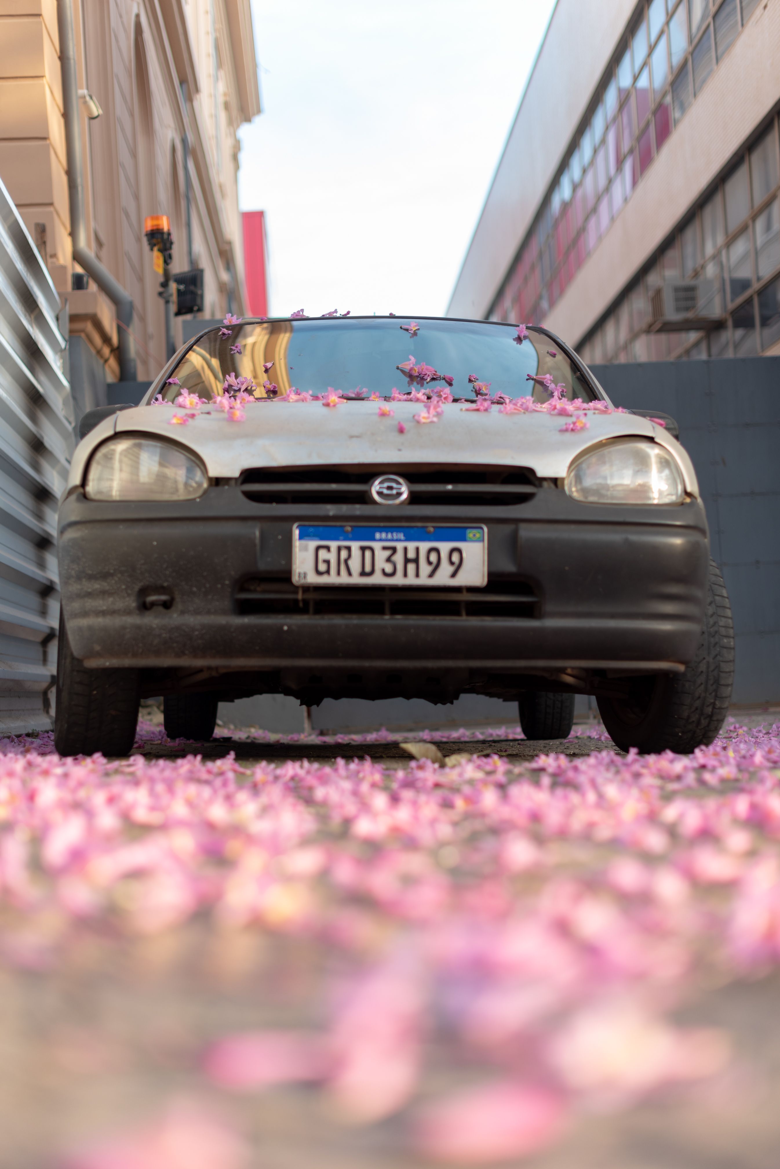 Carro vintage coberto por flores rosa em rua de Belo Horizonte, Minas Gerais
