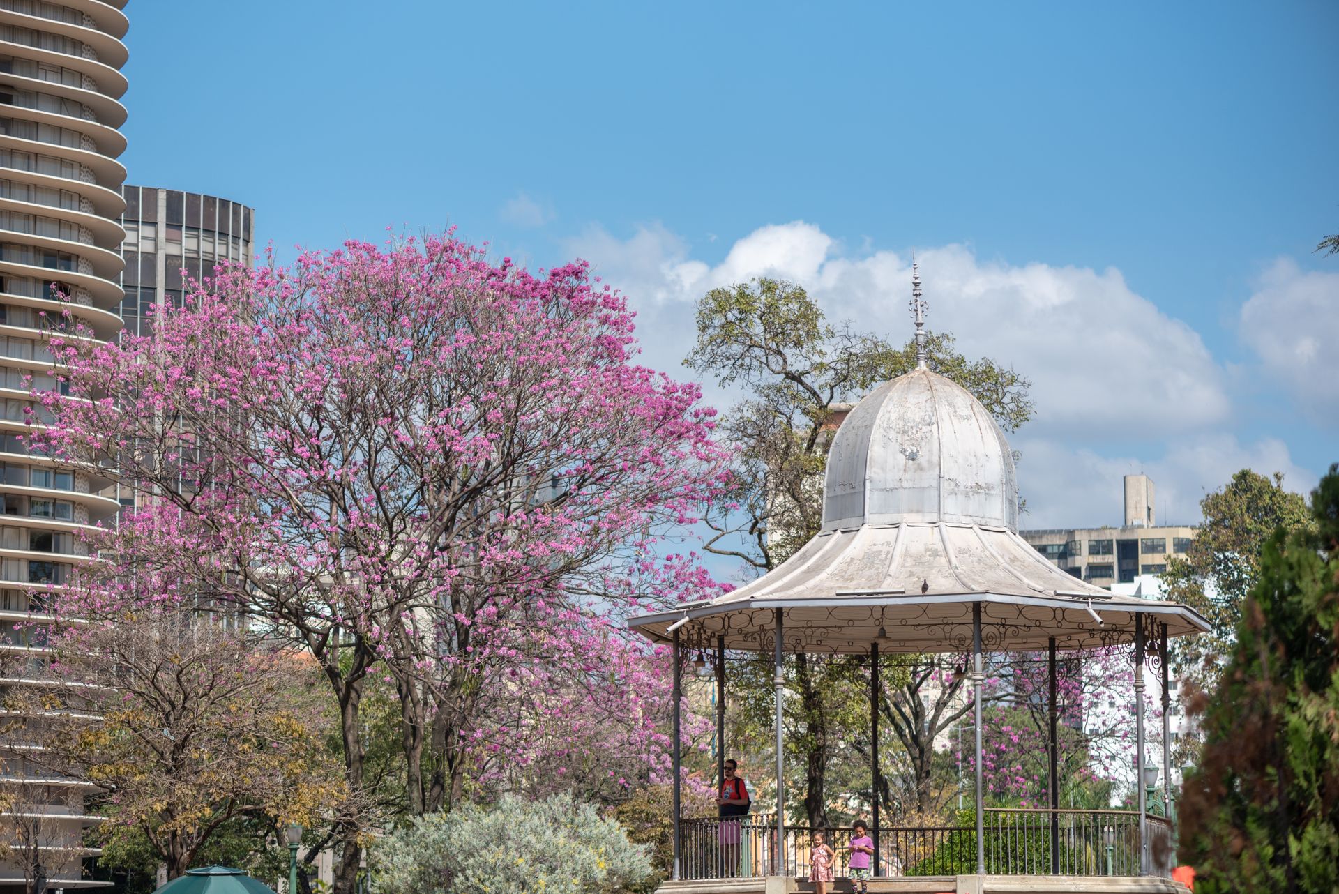 Beautiful view of a gazebo and blooming trees near Oscar Niemeyer Building, Belo Horizonte.