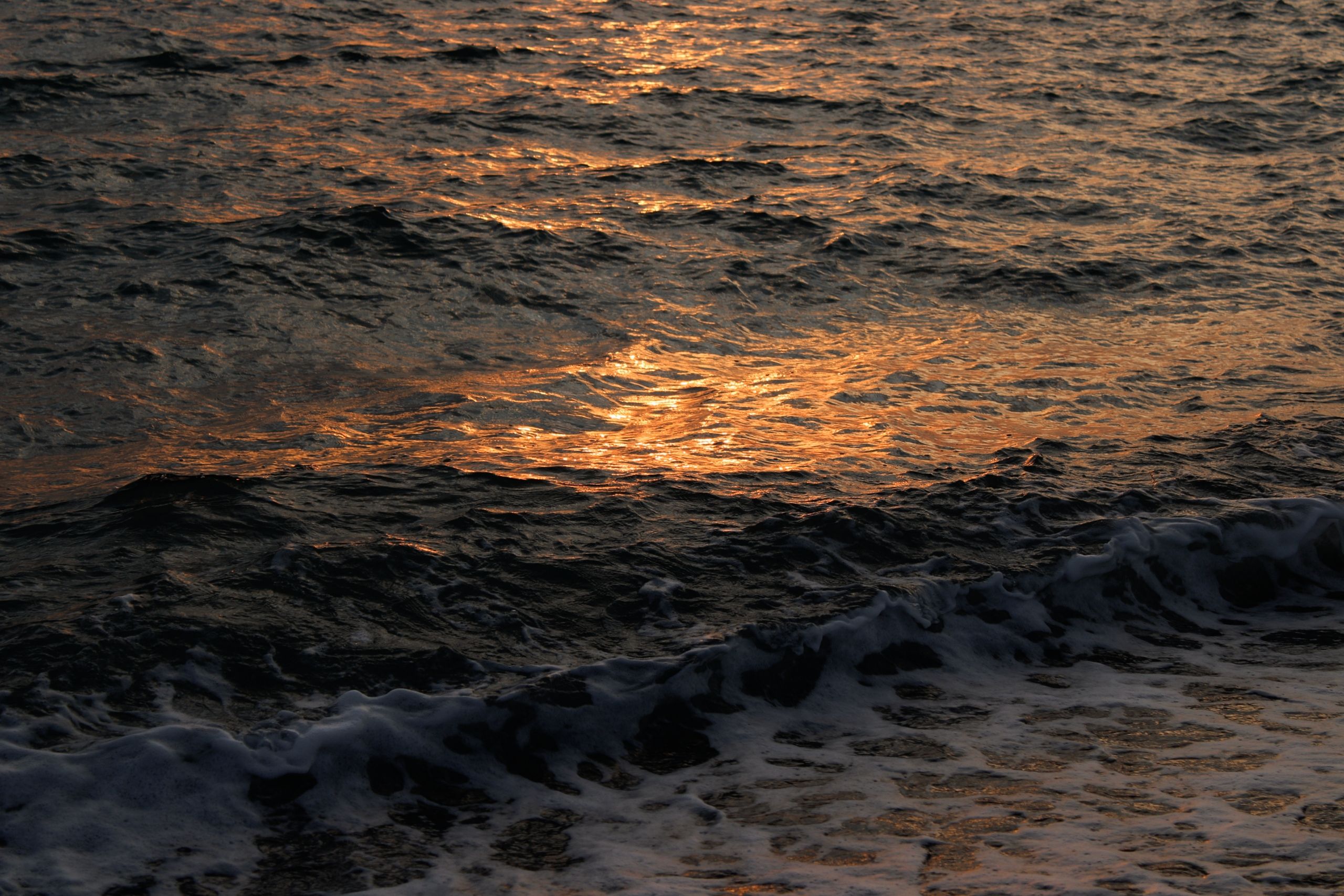 Artwork for Why Retreat Highs Fade: Carmela Fortin on Lasting Wellness Change