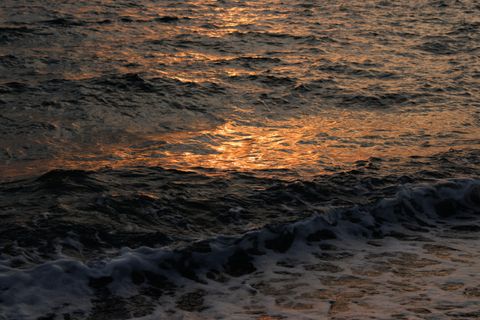 Artwork for Why Retreat Highs Fade: Carmela Fortin on Lasting Wellness Change