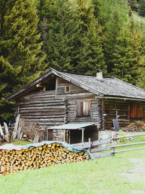 Free Charming log cabin nestled in lush Trentino forest, perfect for nature lovers. Stock Photo