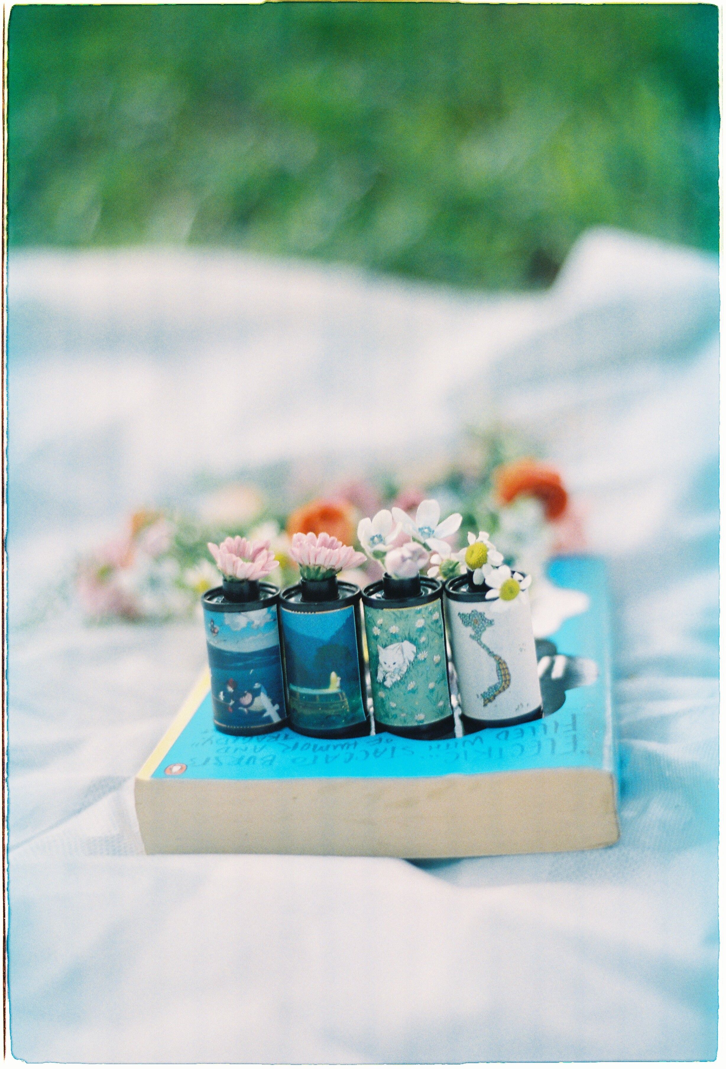 Four film rolls decorated with flowers on a book outdoors, creating a serene and artistic mood.
