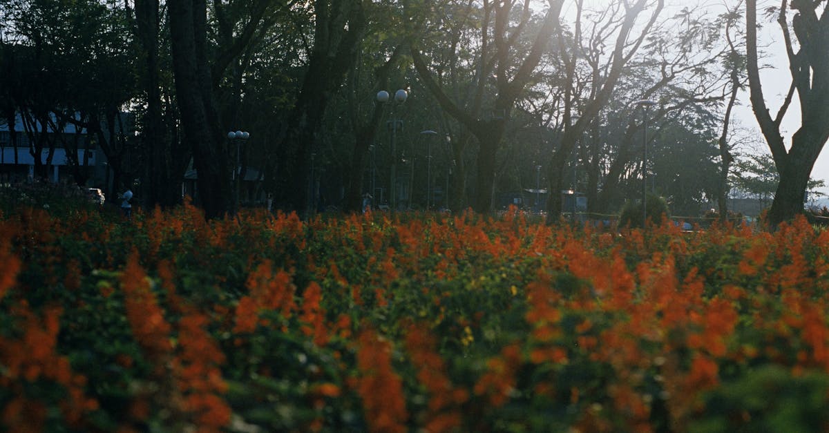 Brownsberg Nature Park