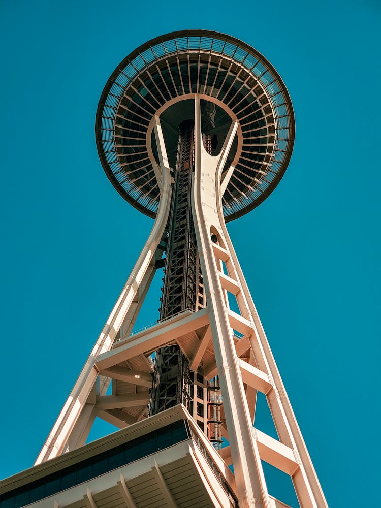 Observation Tower Under Blue Sky