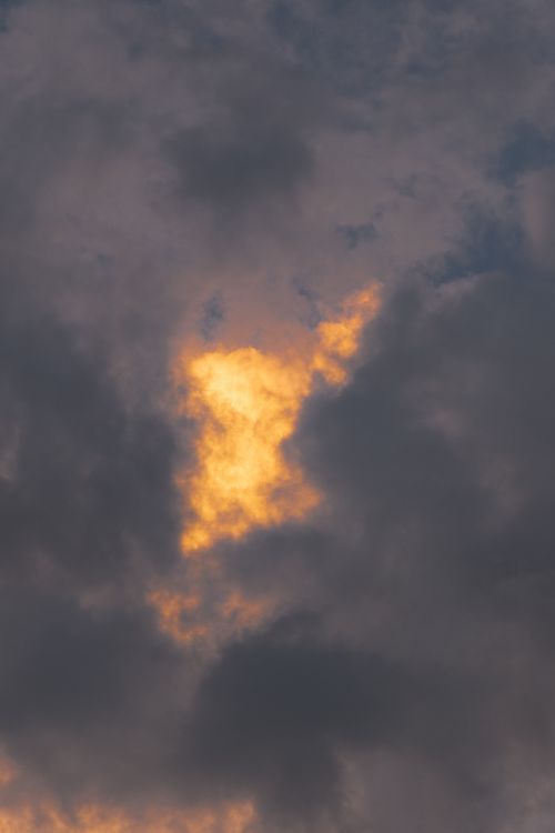 Free A striking view of golden clouds illuminated by the setting sun, creating a dramatic sky scene. Stock Photo