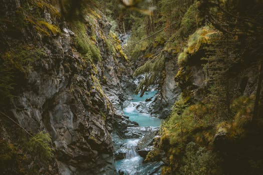 Discover the tranquil beauty of a flowing alpine stream in Zermatt's lush forest landscape.