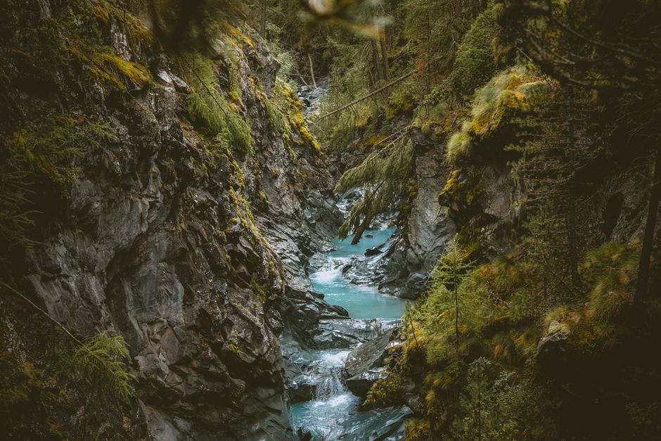 Discover the tranquil beauty of a flowing alpine stream in Zermatt's lush forest landscape.