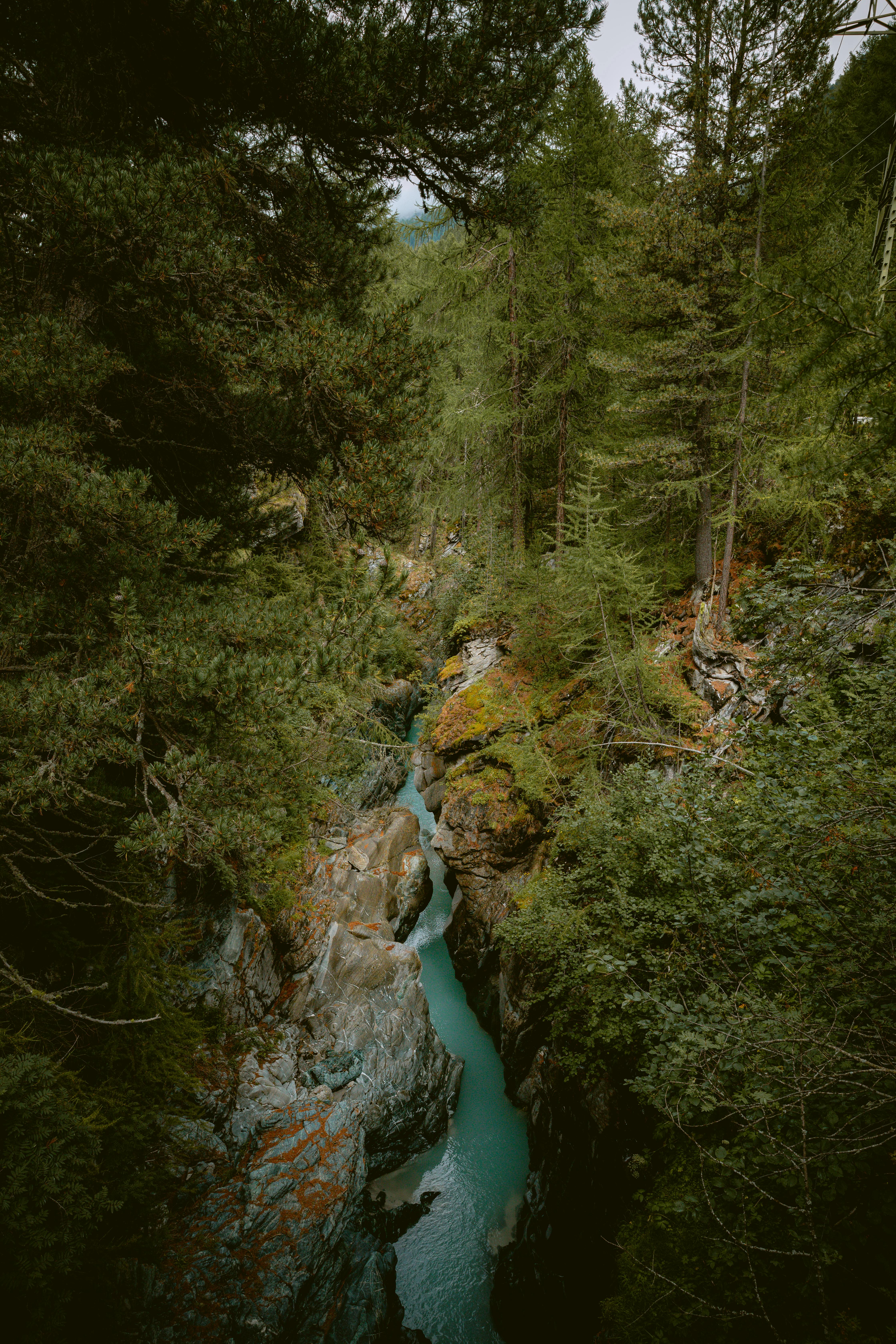 New Community Kitchen Opens