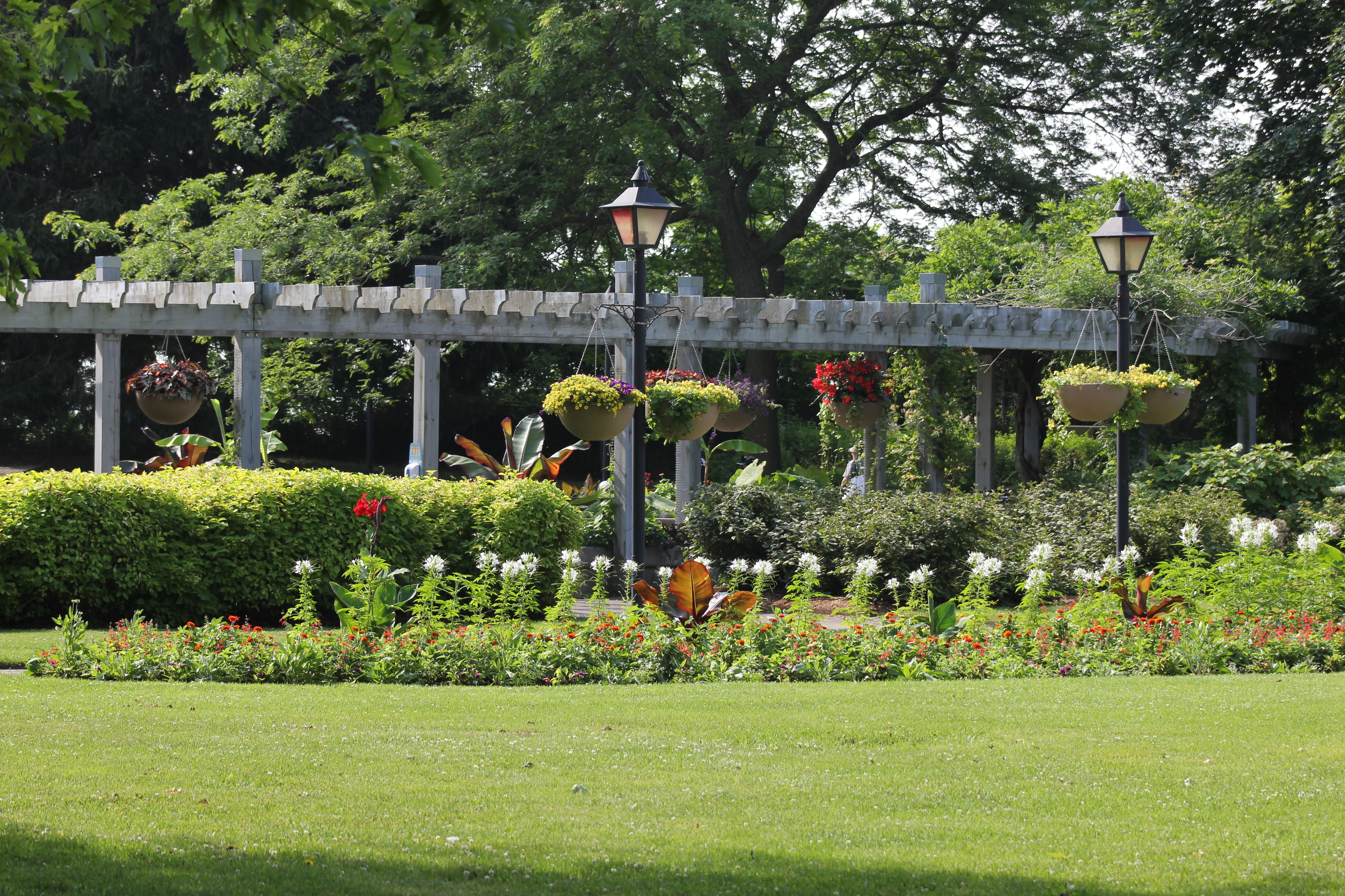 Pergola en aluminium à Braine-l'Alleud - Creative Solution
