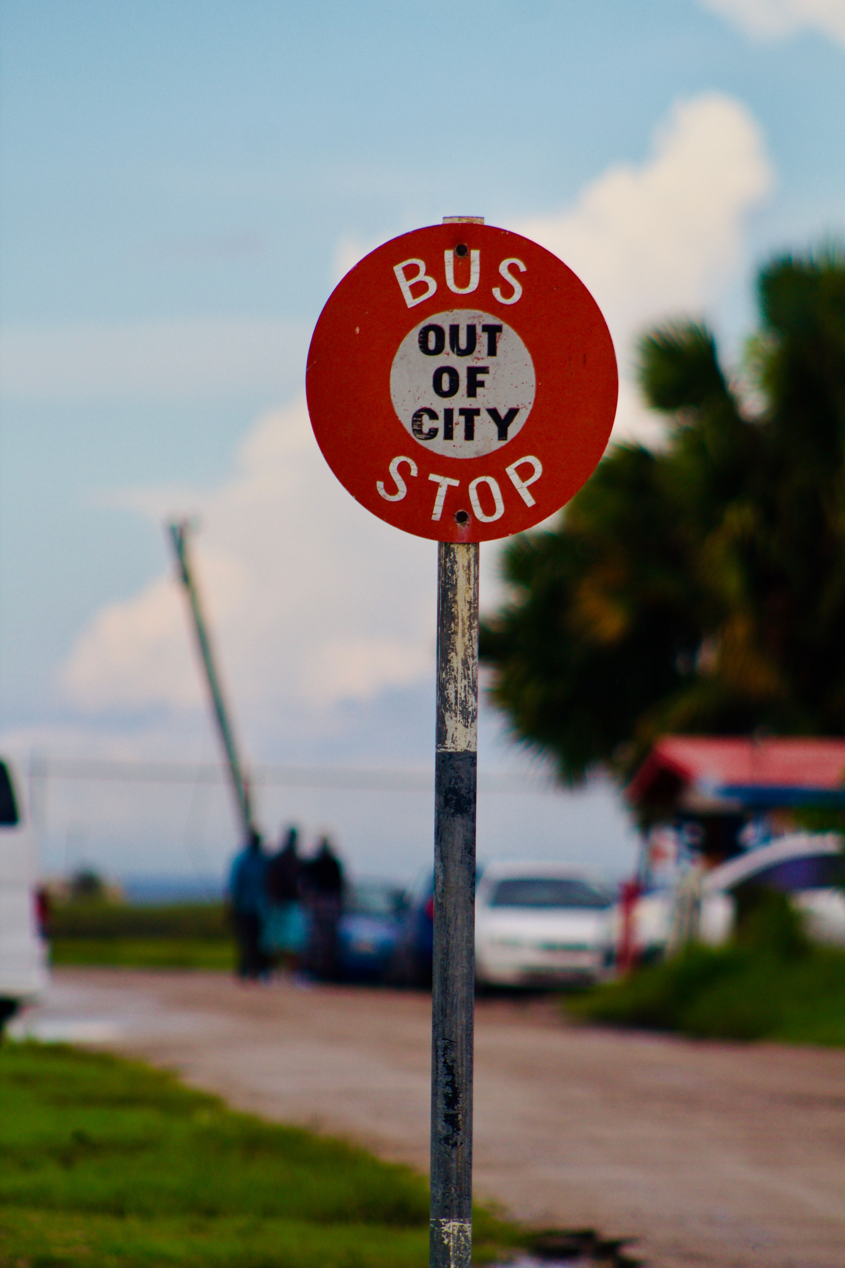 Bus Stop Sign in Rural Outdoor Setting · Free Stock Photo
