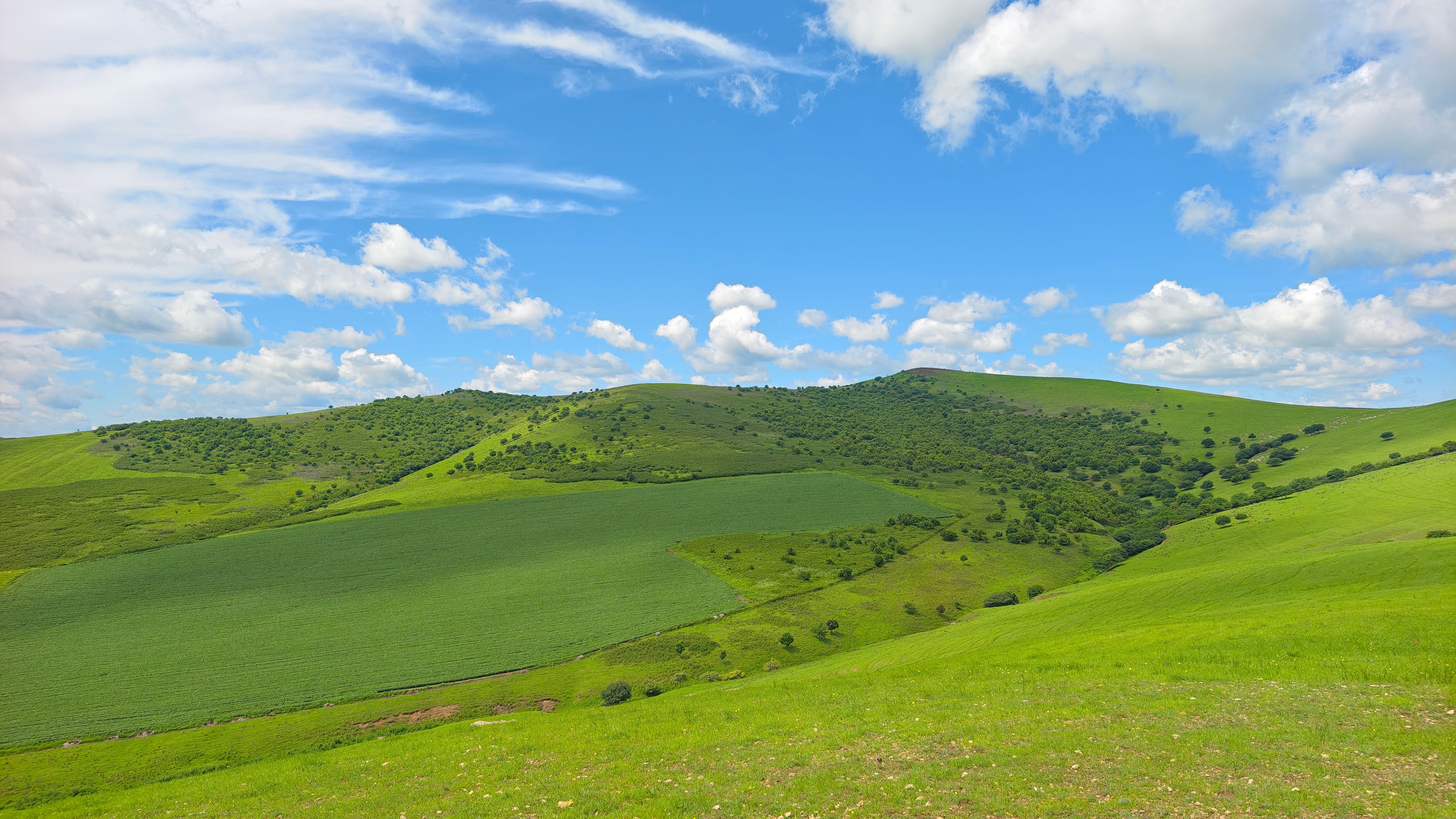 Rolling Green Hills Under a Clear Blue Sky · Free Stock Photo