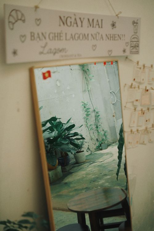 Free A mirror reflecting potted plants in a cozy cafe corner, creating a serene atmosphere. Stock Photo