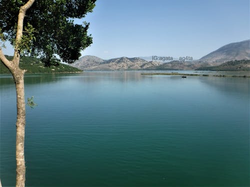 Immagine gratuita di acqua, Albania, albero