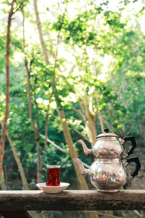 Free A traditional Turkish tea pot and glass cup in a serene forest setting. Sunlit trees enhance the ambiance. Stock Photo
