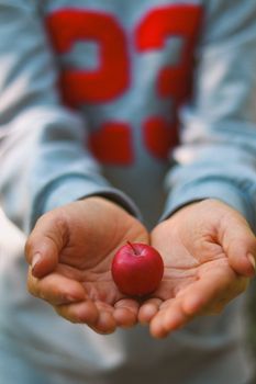 Close-up of hands offering a bright red small apple, symbolizing sharing and generosity. — photo by Golboo Maghooli