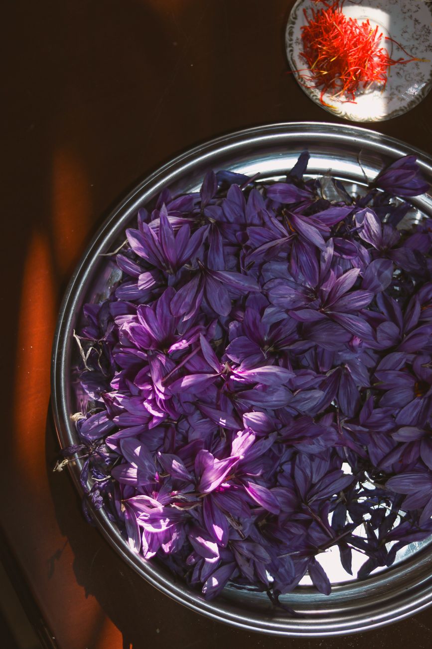 Harvesting and Curing Your Own Saffron Threads: A Step-by-Step Guide to Maximizing Potency, Aroma, and Yield for Home Cooks