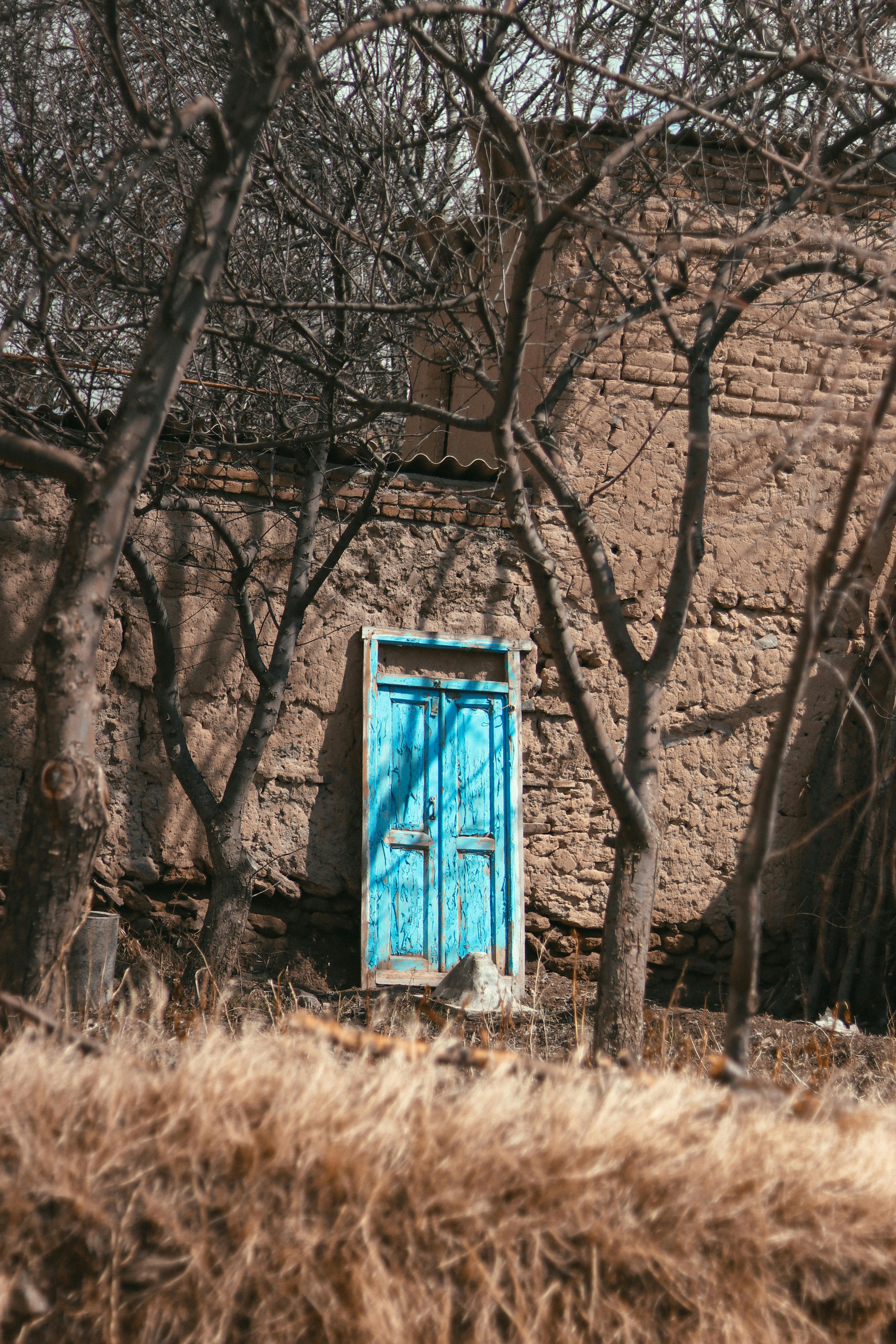 A rustic mud wall with a vibrant blue door and bare trees in a dry landscape.