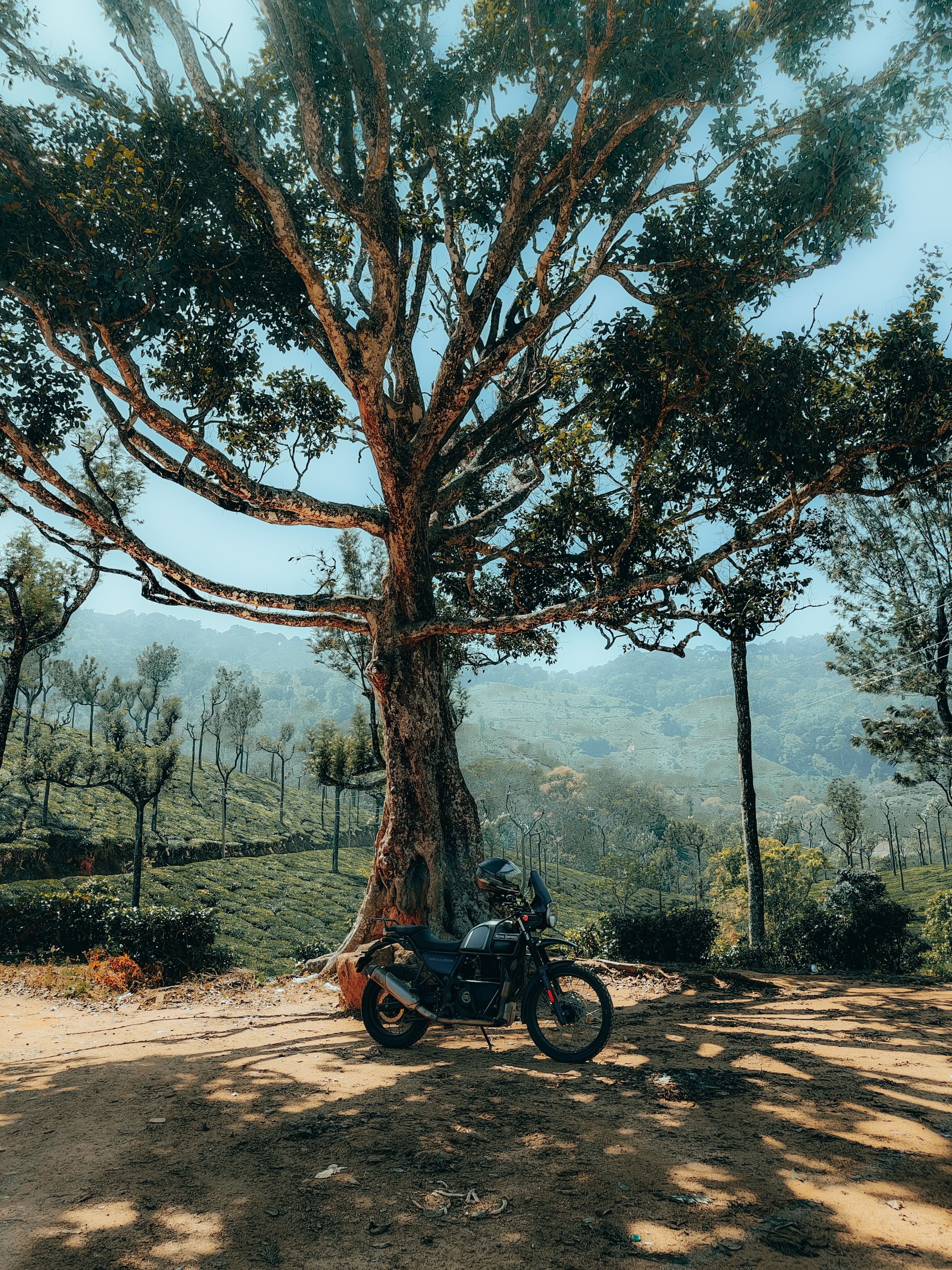 Motorcycle under a Tree in Mattupetty, India · Free Stock Photo