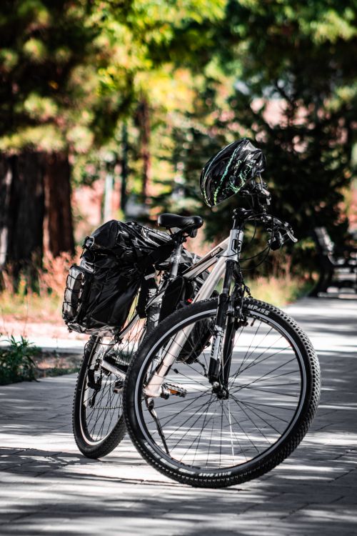 Free A mountain bike parked on a shaded forest path with a helmet and backpack. Stock Photo