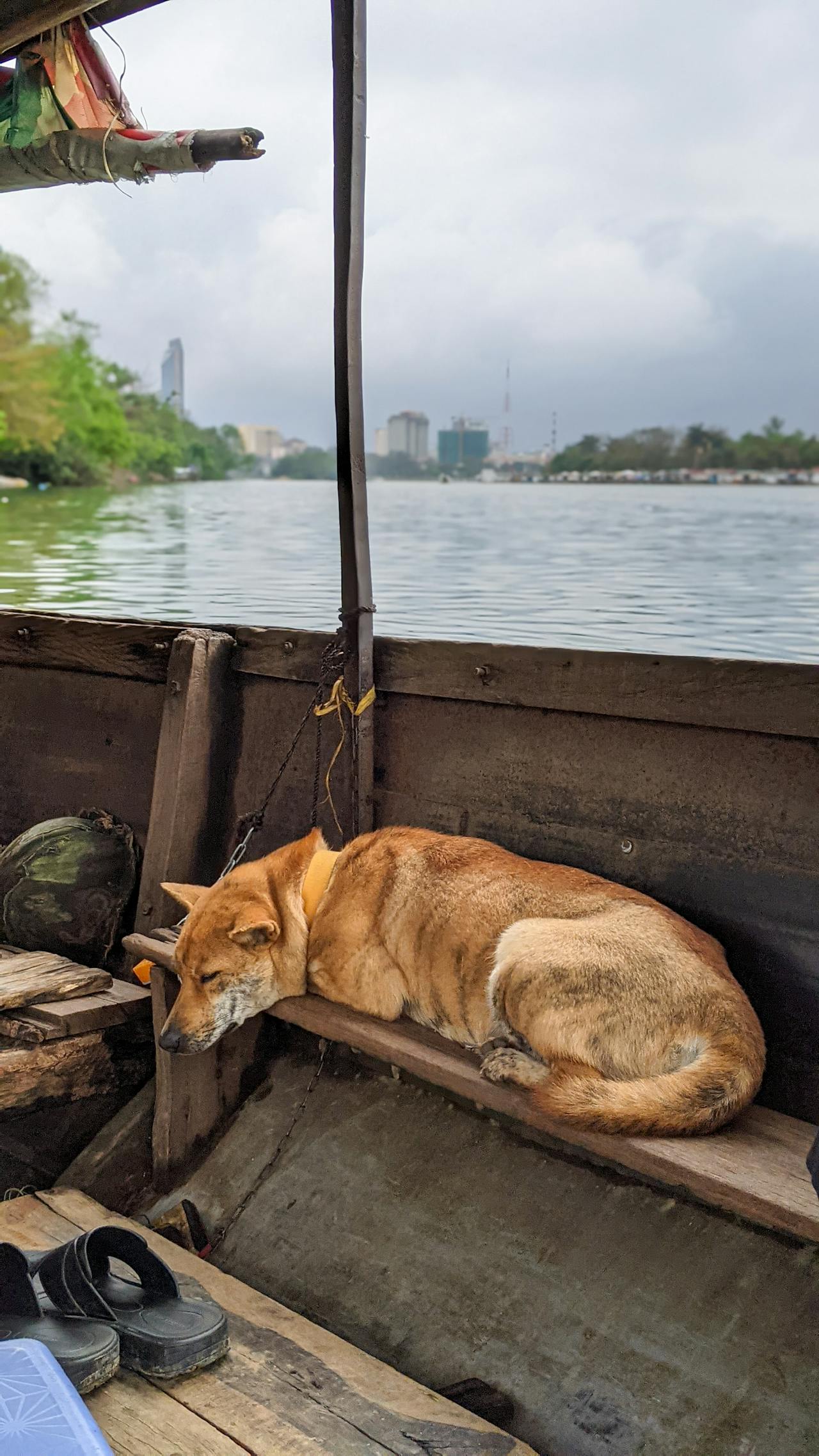 Hiểu về trái tim | Chương 46