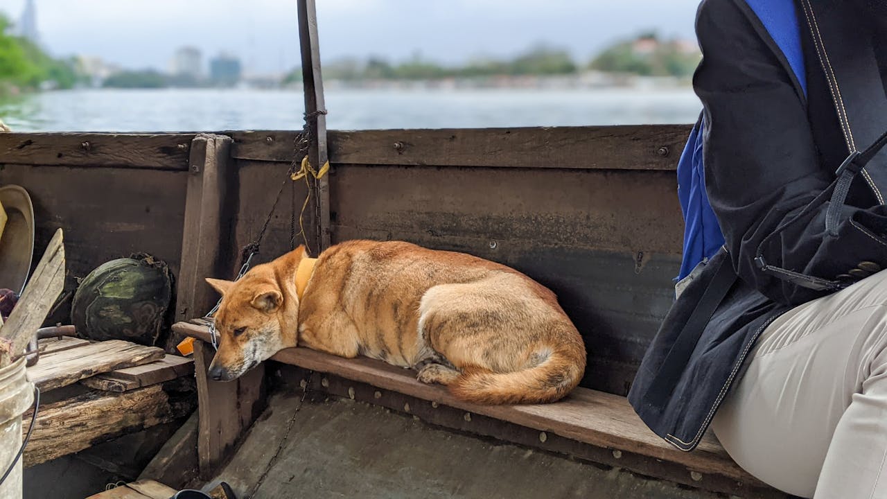 Lịch sử lưu đày và Diaspora