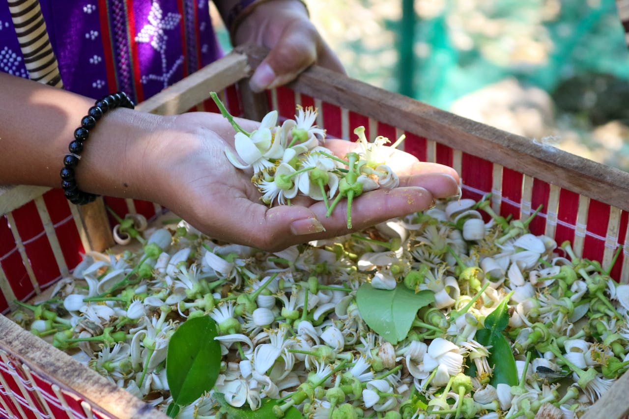 Tất cả những cần cho Giáng sinh là một cảm thức về mục đích