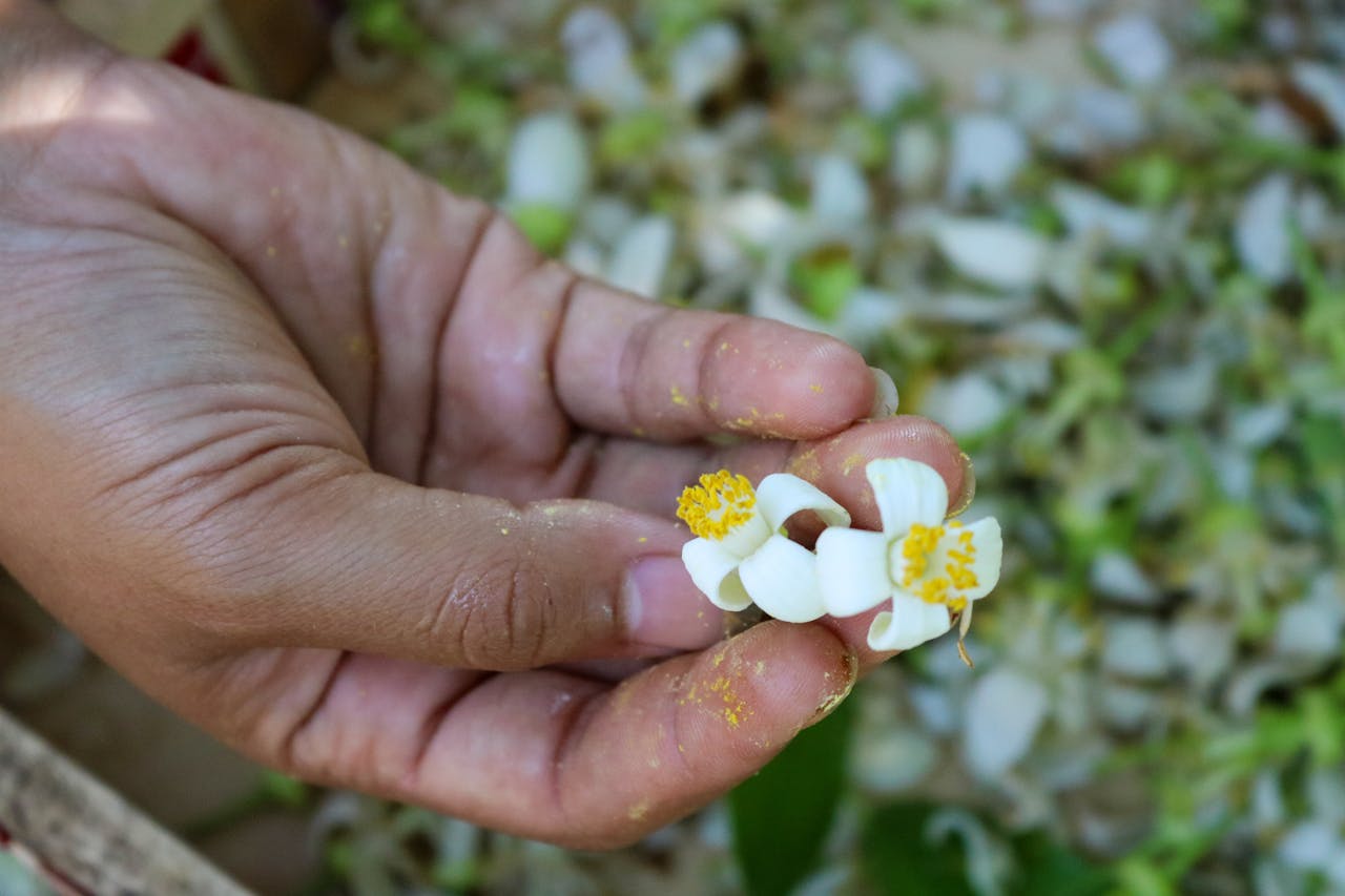 Thám tử lừng danh Conan | Chương 1017