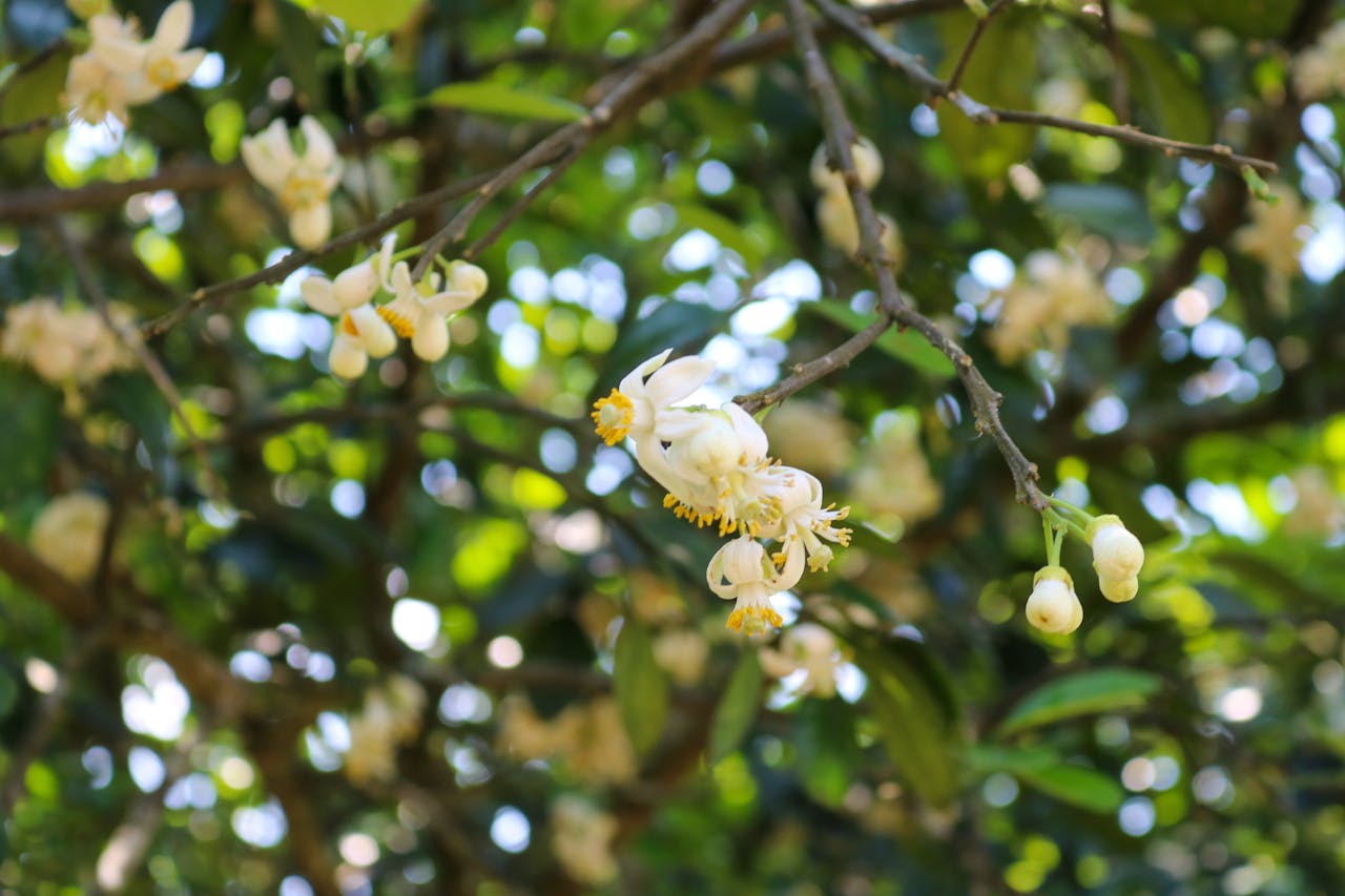 Biến đổi khí hậu thật nhưng bị coi là lừa bịp