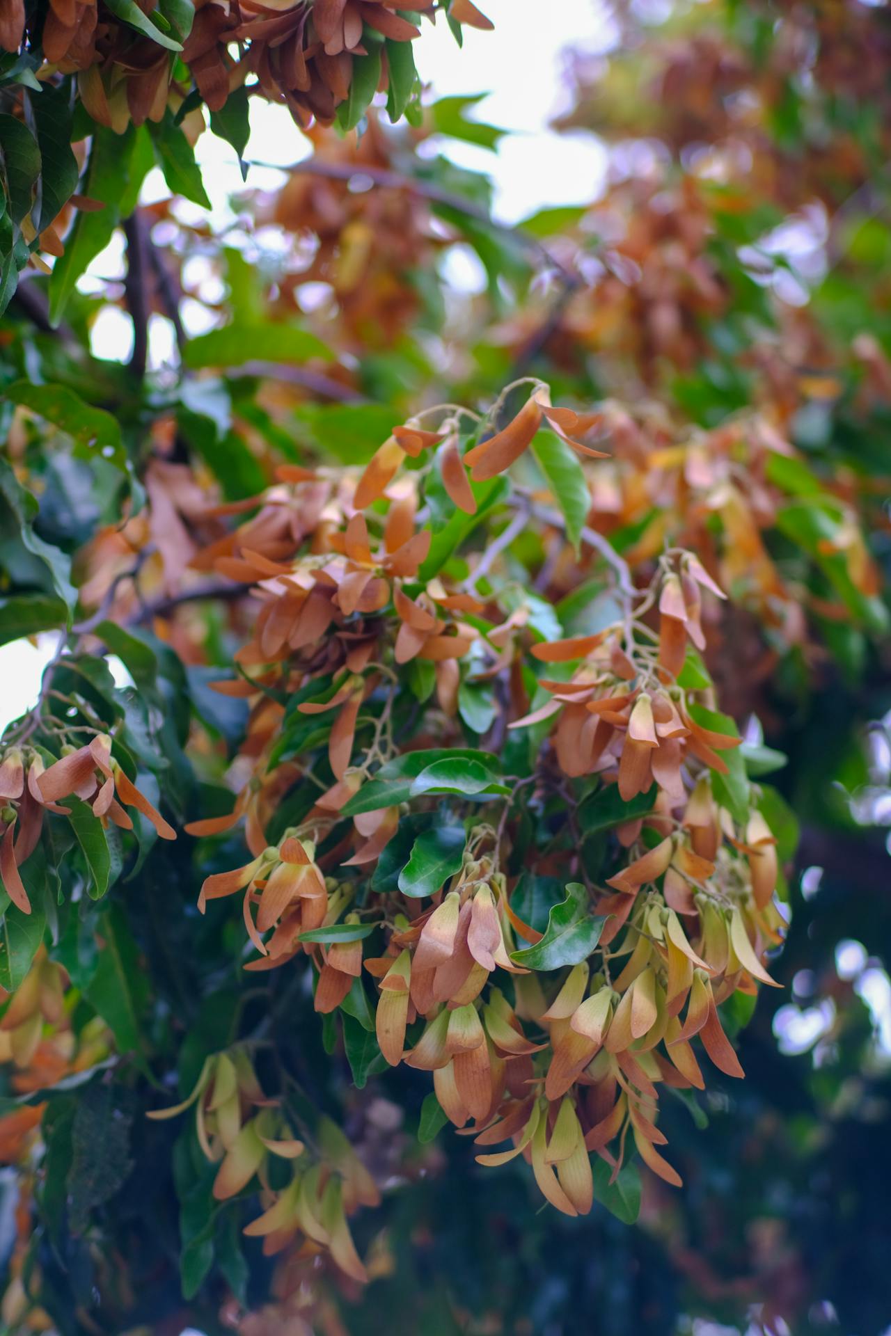 Kierkegaard về hai cách con người đánh mất nhân tính