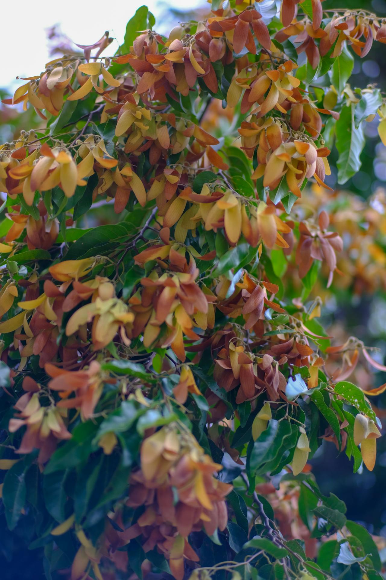 6 lợi ích bất ngờ của giai đoạn khủng hoảng