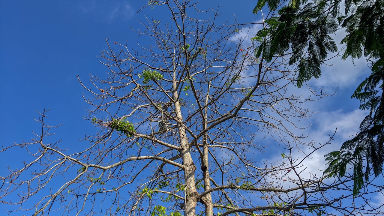 Tất cả chúng ta đều theo thuyết âm mưu