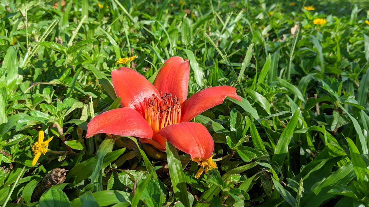 Thám tử lừng danh Conan | Chương 0376