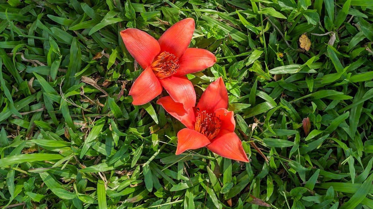 Vì sao giá vàng hôm nay luôn được quan tâm cao?