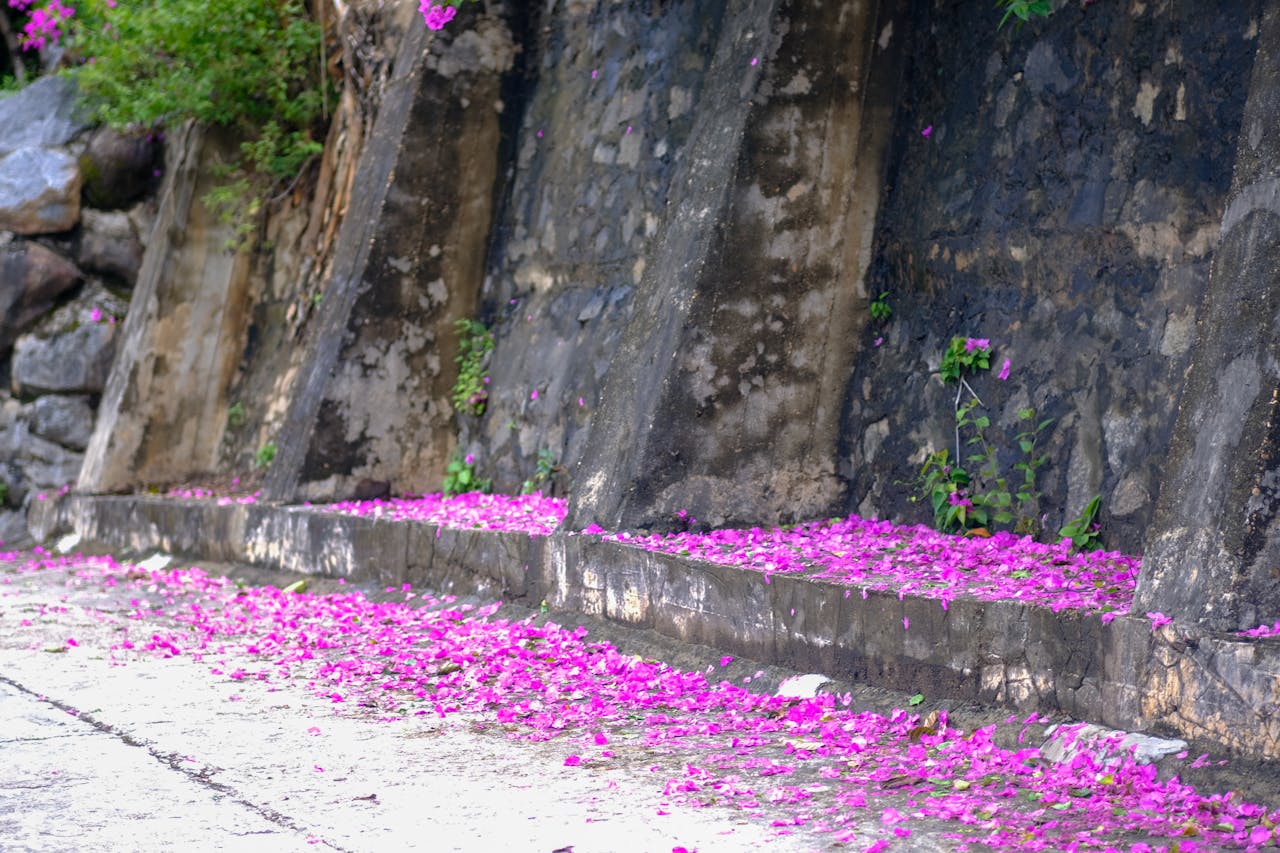 Thám tử lừng danh Conan | Chương 0267